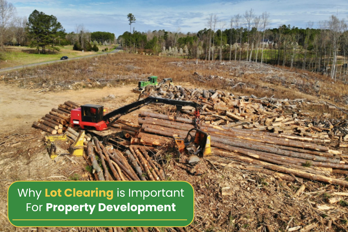 Why Lot Clearing Service is Important for Property Development